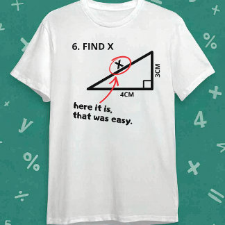Find X Shirt Funny Math Geometry Triangle Joke  T