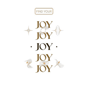 Find Your Joy T Shirt