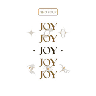 Find Your Joy T Shirt