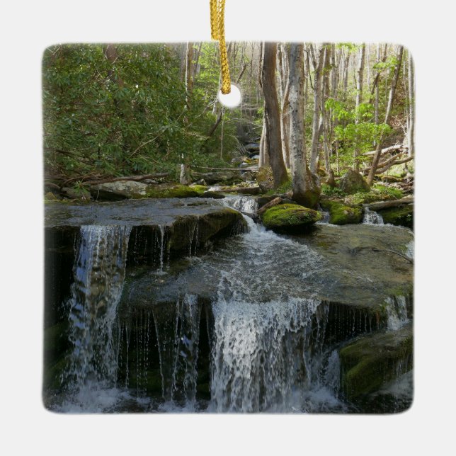 Findlay Falls I Julgransprydnad Keramik (Framsida)