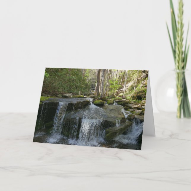 Findlay Falls I Kort (Framsida)