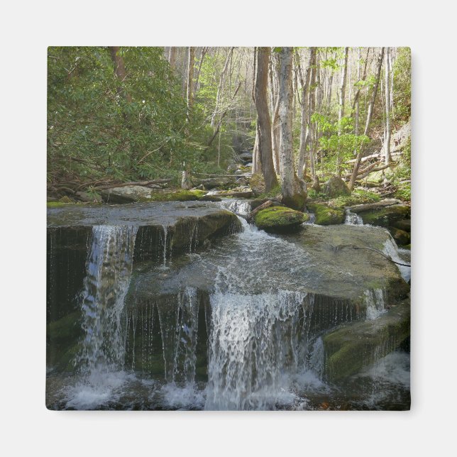 Findlay Falls I Magnet (Framsidan)