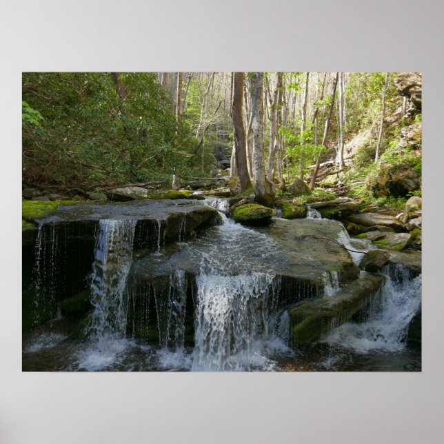 Findlay Falls I Poster (Framsidan)