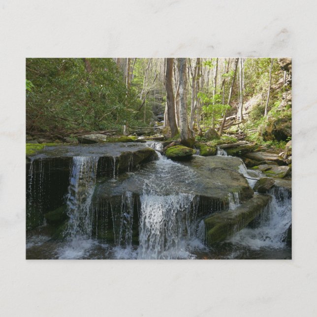 Findlay Falls I Vykort (Framsida)