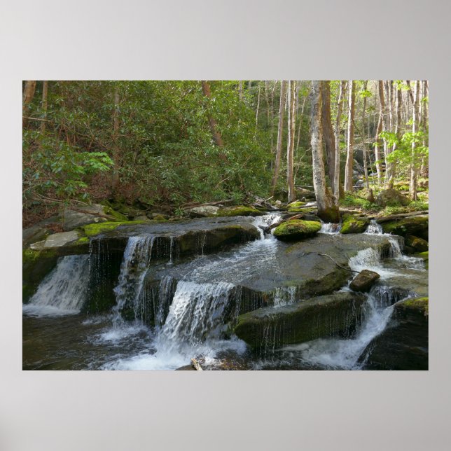 Findlay Falls II Poster (Framsidan)