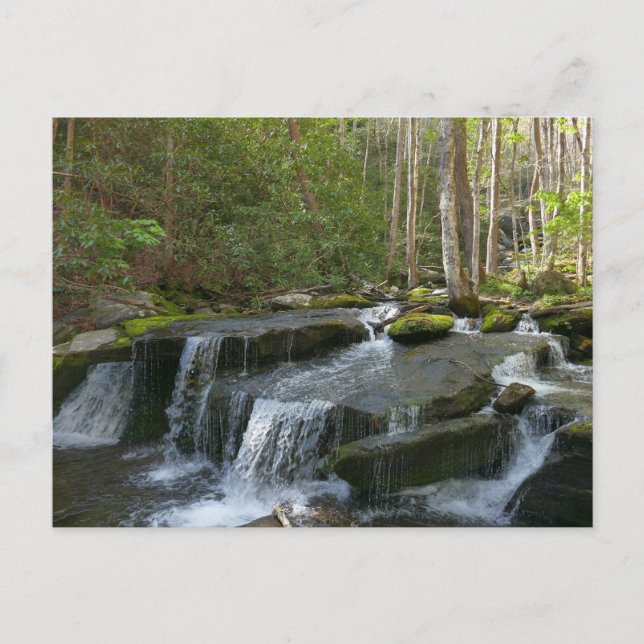 Findlay Falls II Vykort (Framsida)
