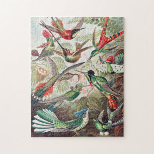 Fine Art av Ernst Haeckel Pussel