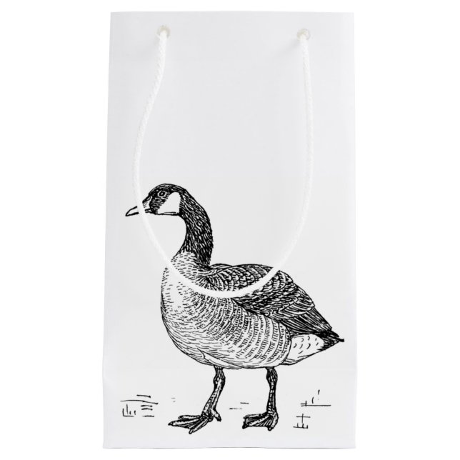 Fine Art Canadian Goose Nature Teckning (Framsidan)