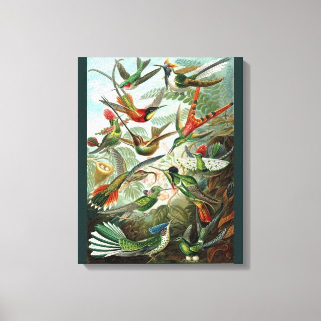 Fine Art Hummingbird - Art Forms of Natur Canvastryck (Framsida)