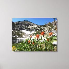Fine Art Photo, Mountain Sjö Wildblommor, Nevada Canvastryck