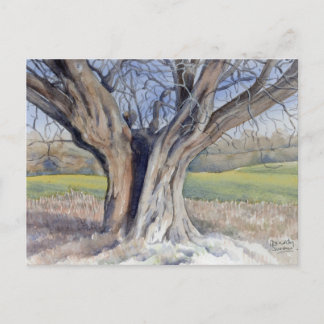 Fine Art-vykort - engelska Träd Vykort