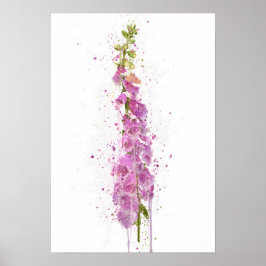 Fingerborgsblomma Poster