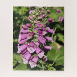 Fingerborgsblomma Pussel