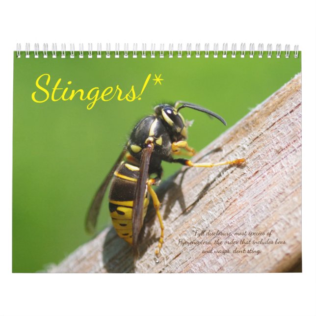 Fingers! En kalender över bin och vasslor (Omslag)