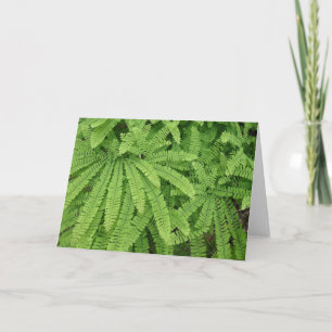 Fingerväxande Adiantum Kort