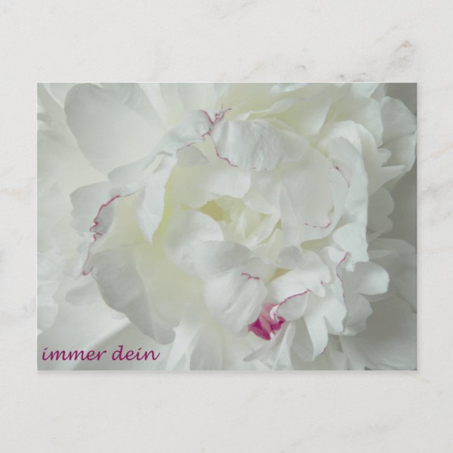 Fingsten: Immer dein Vykort (Framsida)