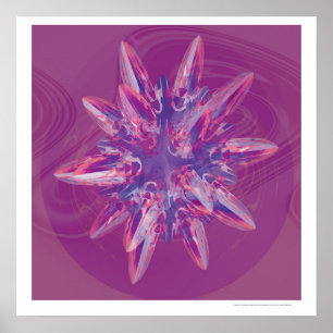 Finite Kepler Poster