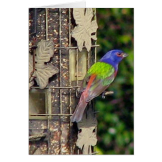 fink-1-feb5-06 hälsningskort