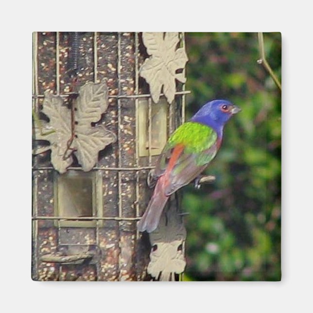 fink-1-feb5-06 magnet (Framsidan)