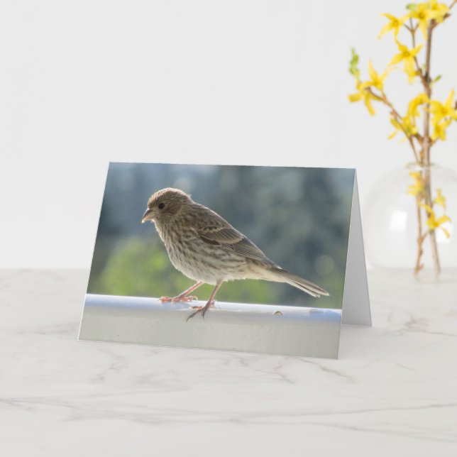 Fink i Sol på morgonen. Kort (Gul blomma)