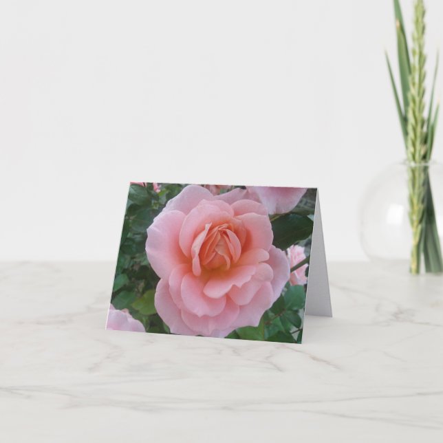  Fink Rosa Fink Konst Fotografering Vikt Notkort  Tack Kort (Framsida)