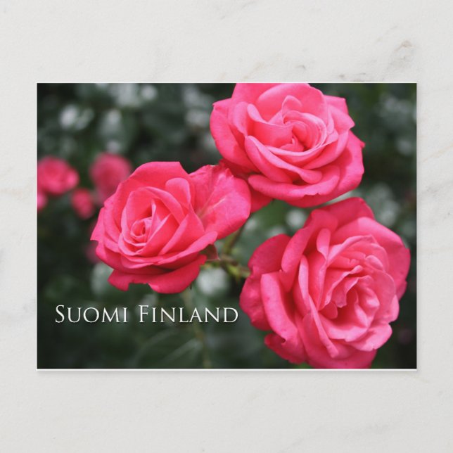 Finland i Blommor, 3:e i en serie Vykort (Framsida)