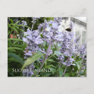 Finland i Blommor, 6e i en serie Vykort