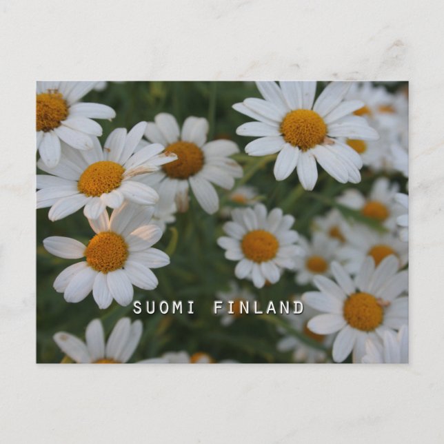 Finland i Blommor, 8:e i en serie Vykort (Framsida)