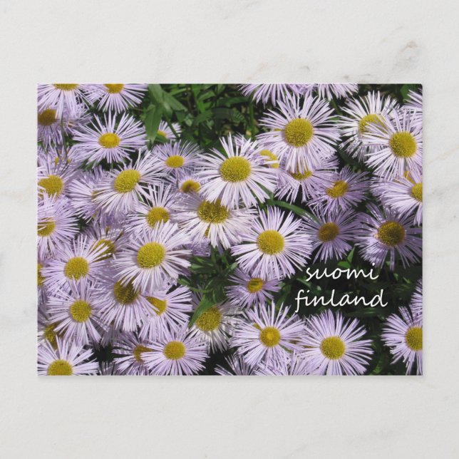 Finland i Blommor, andra i en serie Vykort (Framsida)
