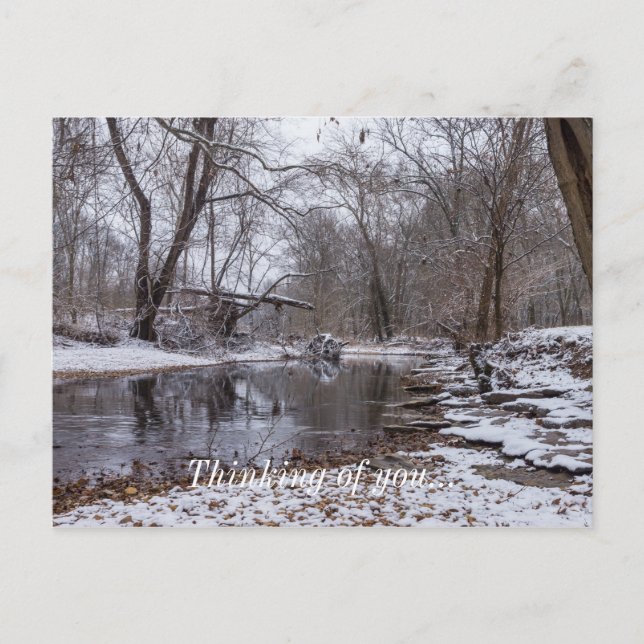 Finley Winter Snow Tänker på dig Vykort (Framsida)