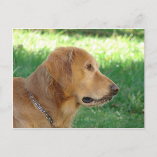 Finling Vykort (Framsida)