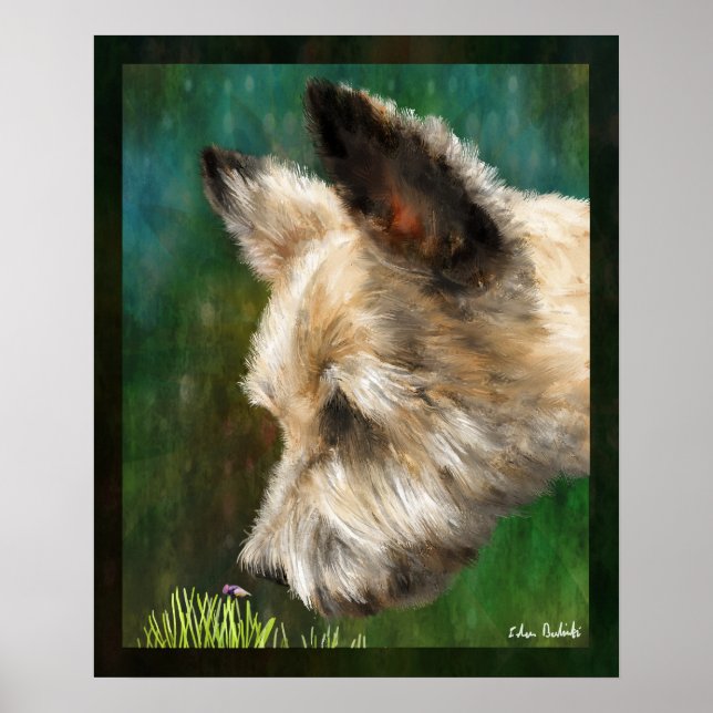 Finn Poster (Framsidan)