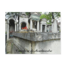 Finna en katt! (text)