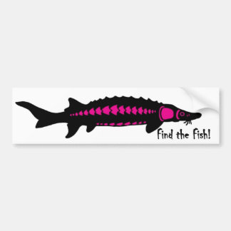 finna fisken, PINK2 Bildekal