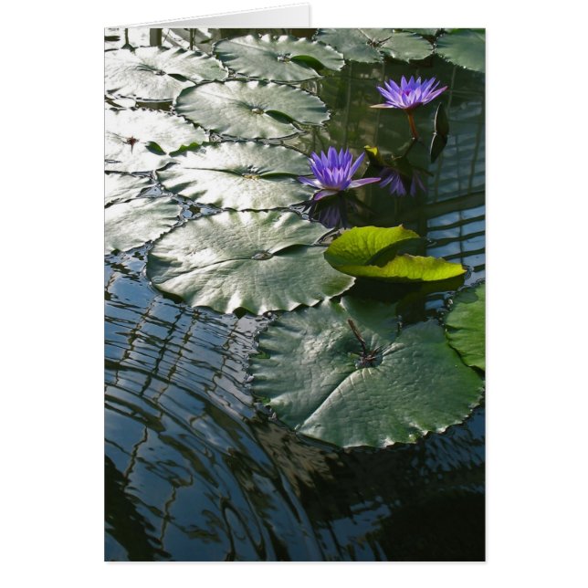 Finna fredkortet OBS kort (Framsidan)