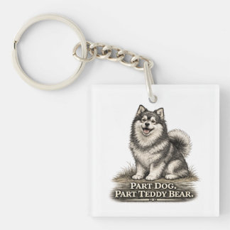 Finnish Lapphund – Part Dog Part Teddy Bear