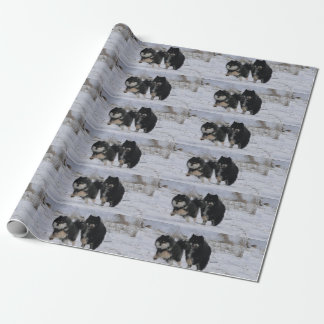 Finnish Lapphunds Presentpapper