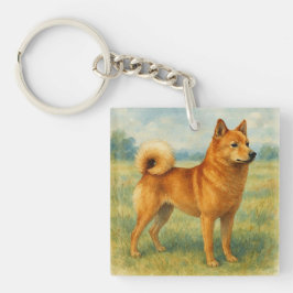 Finnish Spitz