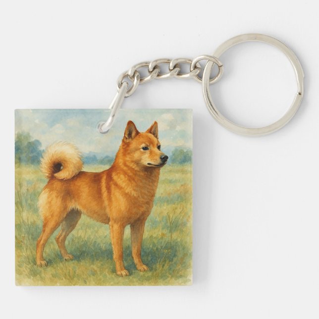 Finnish Spitz (Baksidan)