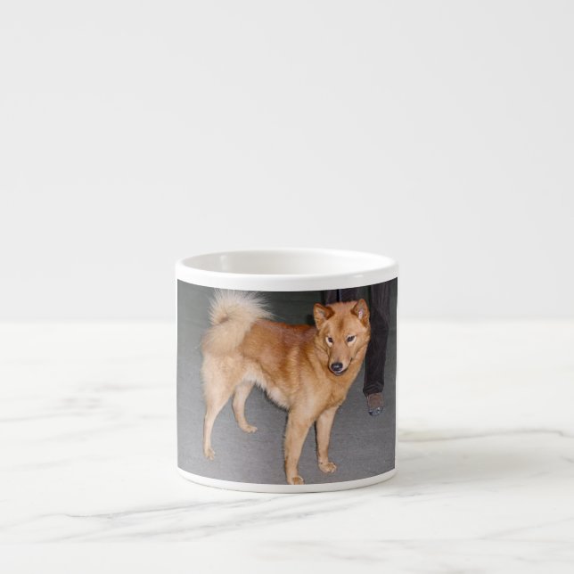 Finnish_Spitz full.jpg Espressomugg (Framsidan)