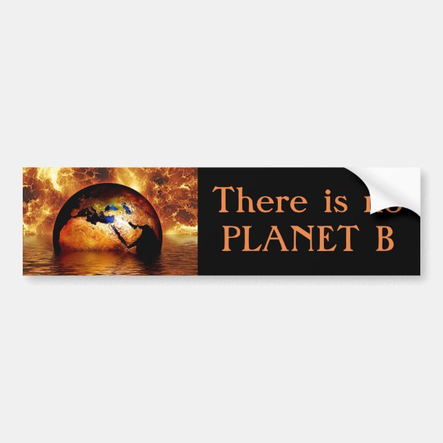 "Finns det något planet B" med brinna Earth. Bildekal (Framsidan)