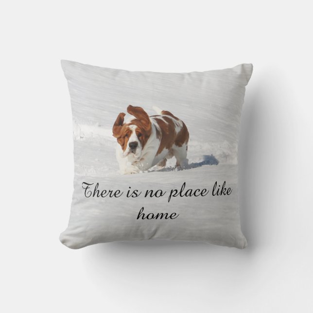 "Finns det något ställenågot liknandehem" kudder Kudde (Framsida)