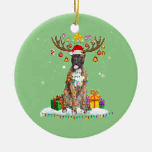 Finny Boxer Hund jul Reindeer jul Julgransprydnad Keramik
