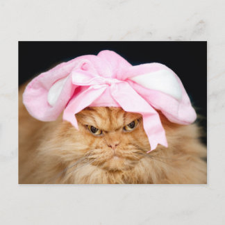 Finny Cat Påsk vykort