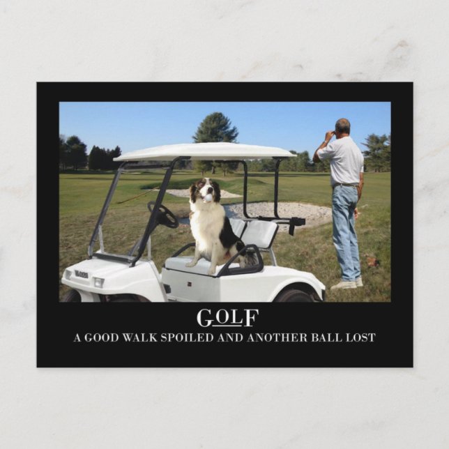 Finny Gräns Collie Hund Postcard, borttappad boll Vykort (Framsida)