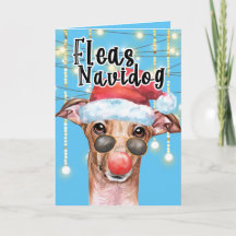 Finny Greyhound Santa hund juls loppas navidog