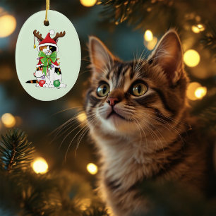 Finny jul Calico Cat Julgransprydnad Keramik