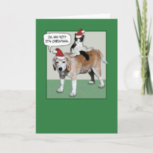 Finny Kat och Hund jul Helgkort