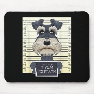 Finny Miniature Schnauzer Mamma I Miniature Schnau Musmatta