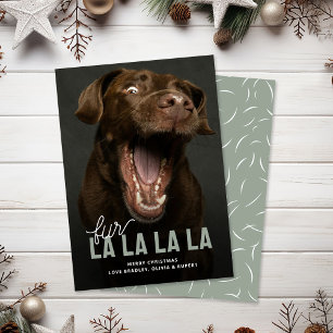 Finny Päls La La Pet Helgdag-julkort Julkort